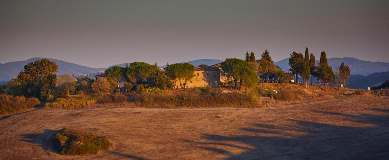 Podere San Francesco Bed & Breakfast Volterra Dış mekan fotoğraf