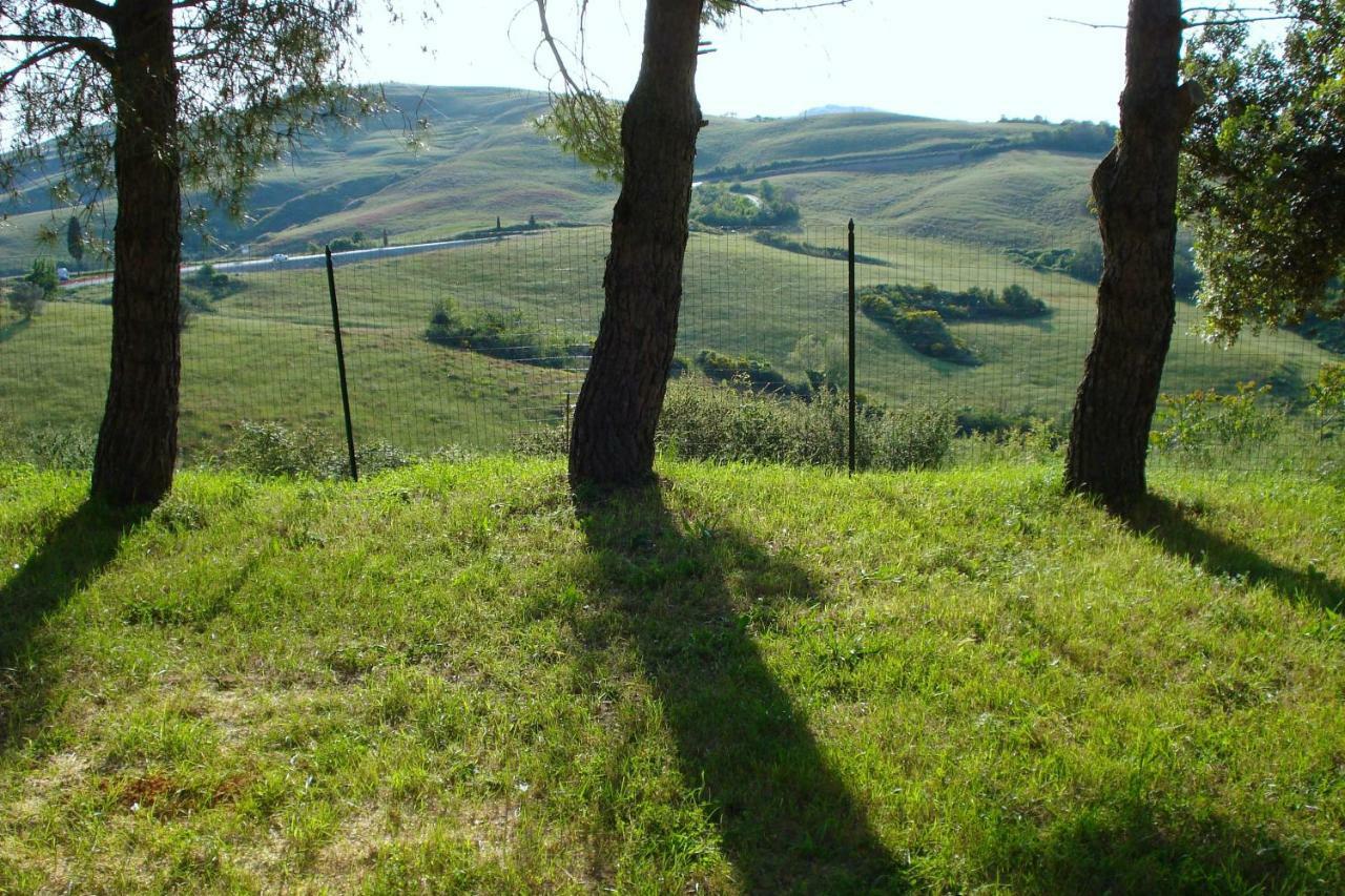 Podere San Francesco Bed & Breakfast Volterra Dış mekan fotoğraf
